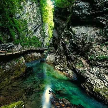 Paradise Slovenia Hostel