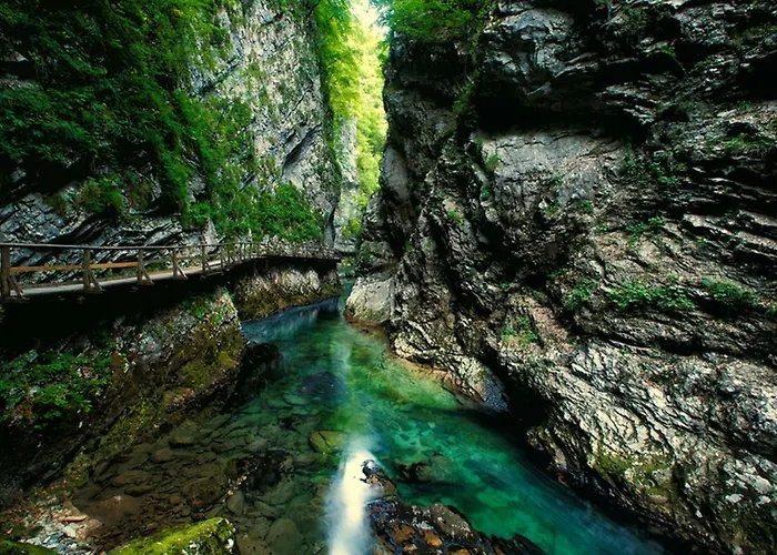 Paradise Slovenia Albergue